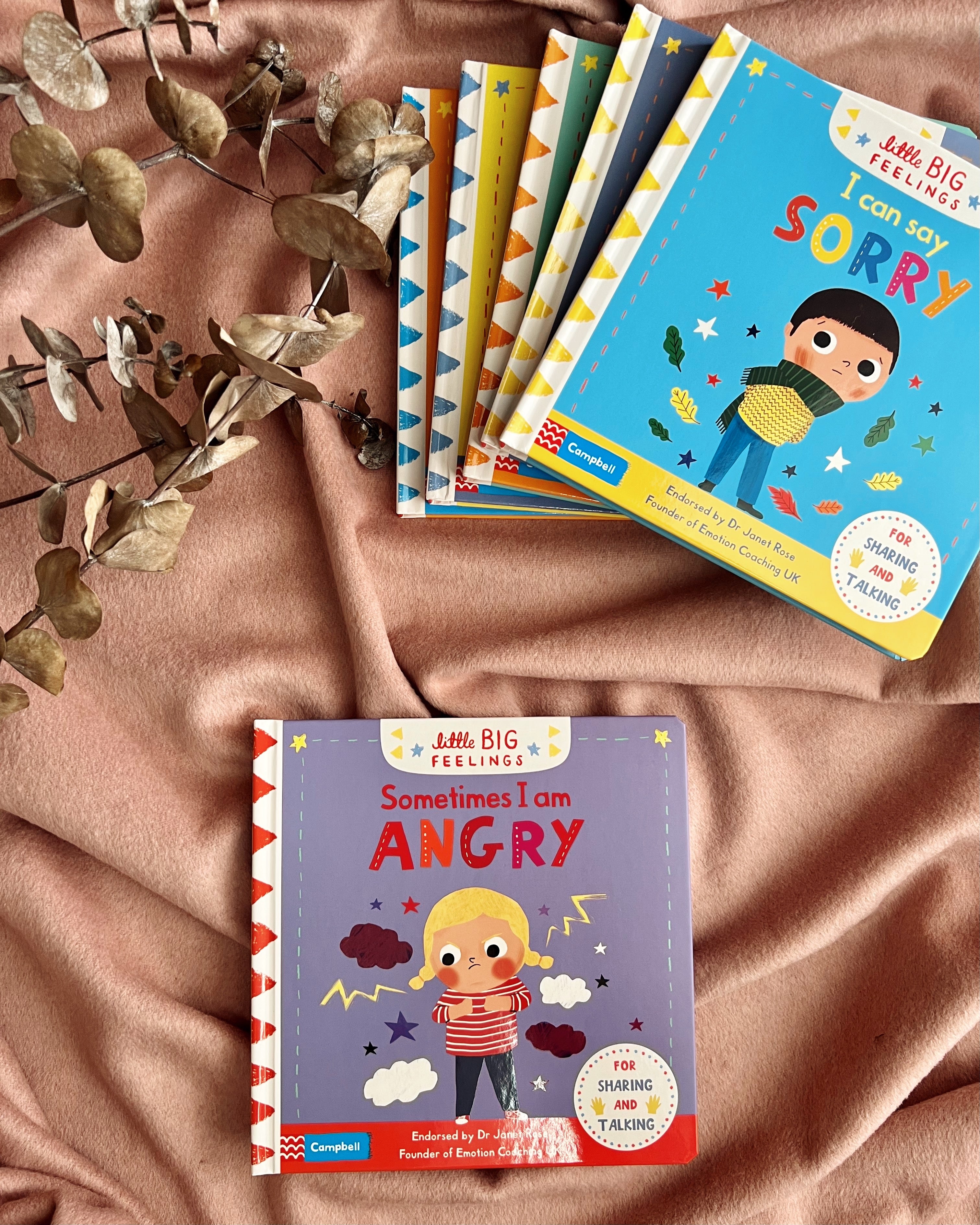 Litte Big Feelings Books series