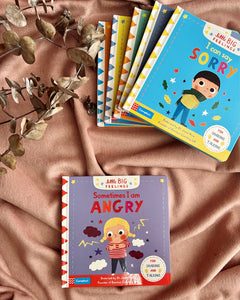 Litte Big Feelings Books series