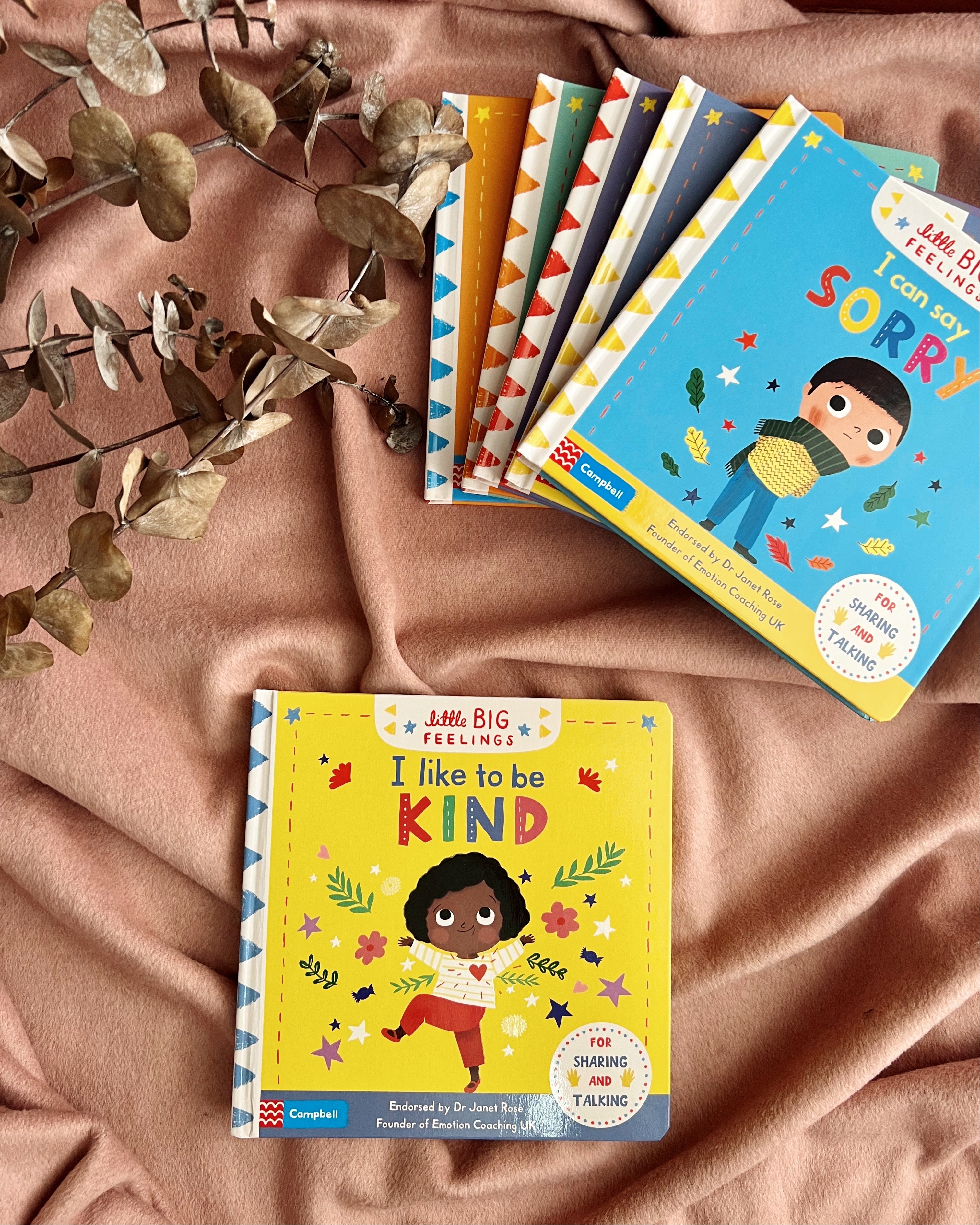 Litte Big Feelings Books series